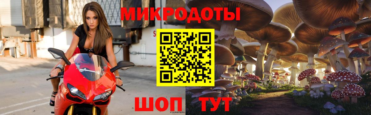 Псилоцибиновые грибы мицелий Валуйки