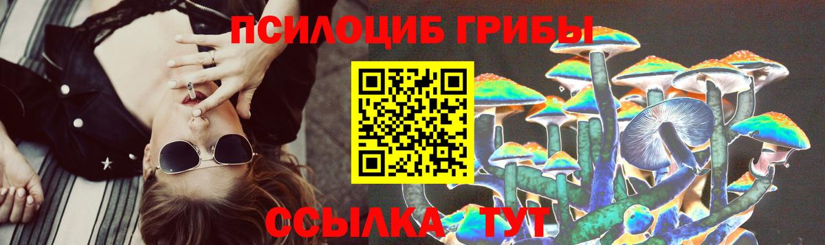 Псилоцибиновые грибы Psilocybe  Вход с VPN  Валуйки  Галлюциногенные грибы MAGIC MUSHROOMS 